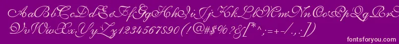 ShirleyvolanteRegularDb Font – Pink Fonts on Purple Background