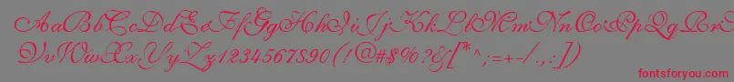 ShirleyvolanteRegularDb-Schriftart – Rote Schriften auf grauem Hintergrund
