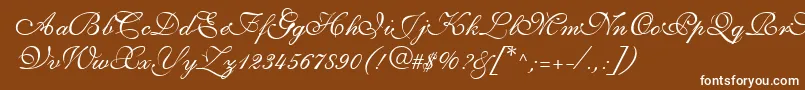 ShirleyvolanteRegularDb Font – White Fonts on Brown Background