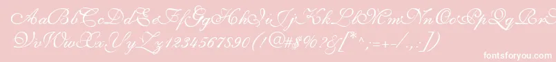 ShirleyvolanteRegularDb-Schriftart – Weiße Schriften auf rosa Hintergrund