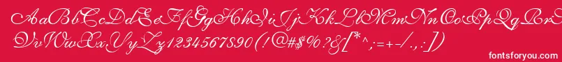 ShirleyvolanteRegularDb-Schriftart – Weiße Schriften auf rotem Hintergrund