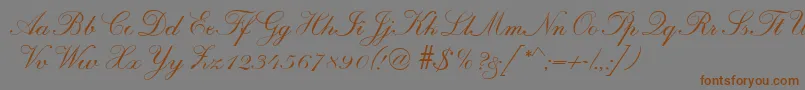 R690ScriptRegular Font – Brown Fonts on Gray Background