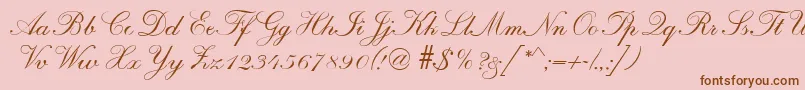 R690ScriptRegular-Schriftart – Braune Schriften auf rosa Hintergrund