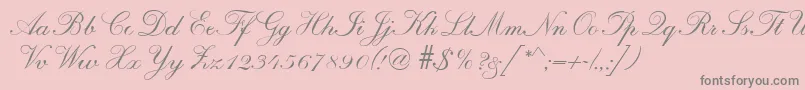 R690ScriptRegular Font – Gray Fonts on Pink Background