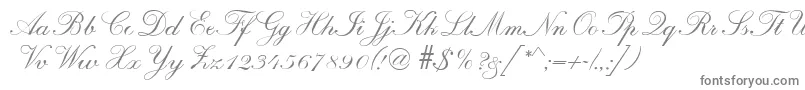 R690ScriptRegular-fontti – harmaat kirjasimet valkoisella taustalla