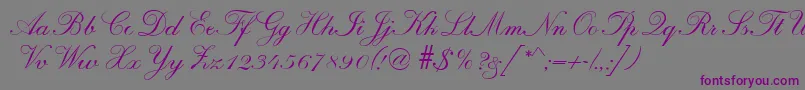 R690ScriptRegular Font – Purple Fonts on Gray Background