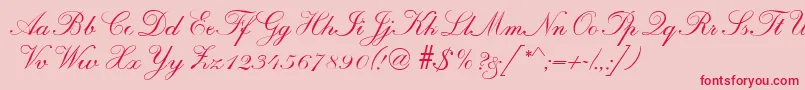 R690ScriptRegular Font – Red Fonts on Pink Background