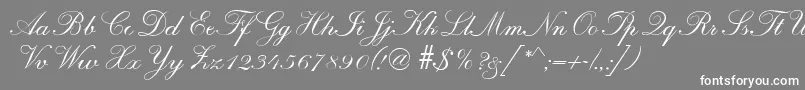 R690ScriptRegular-Schriftart – Weiße Schriften auf grauem Hintergrund