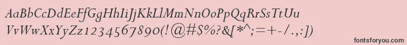 PerpetuaItalicOsf Font – Black Fonts on Pink Background