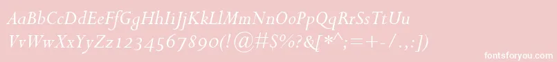 PerpetuaItalicOsf Font – White Fonts on Pink Background