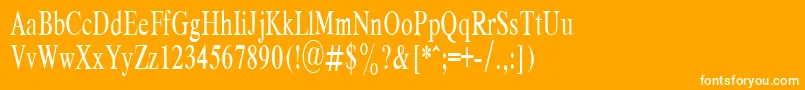 フォントRespectPlain.001.00165nh – オレンジの背景に白い文字