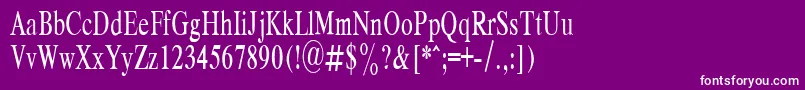 RespectPlain.001.00165nh Font – White Fonts on Purple Background