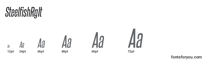 SteelfishRgIt Font Sizes
