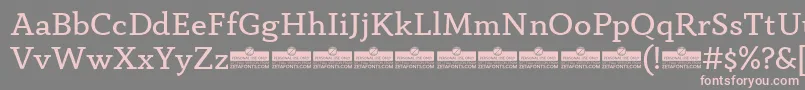 フォントAnaphoraBookTrial – 灰色の背景にピンクのフォント