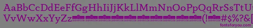 フォントAnaphoraBookTrial – 紫色のフォント、灰色の背景