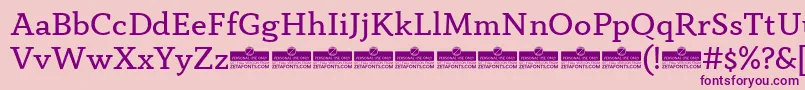 Шрифт AnaphoraBookTrial – фиолетовые шрифты на розовом фоне