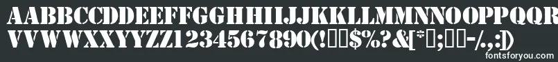 Шрифт TemplatecapssskBold – белые шрифты на чёрном фоне
