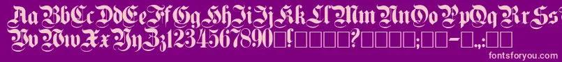 Plaingermanica Font – Pink Fonts on Purple Background