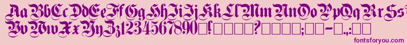Plaingermanica Font – Purple Fonts on Pink Background