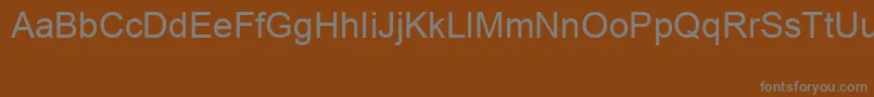 ArialSpecialG1 Font – Gray Fonts on Brown Background