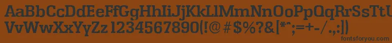 EnschedeserialBold Font – Black Fonts on Brown Background