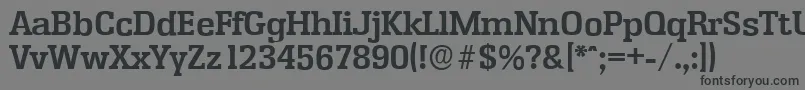 EnschedeserialBold-Schriftart – Schwarze Schriften auf grauem Hintergrund