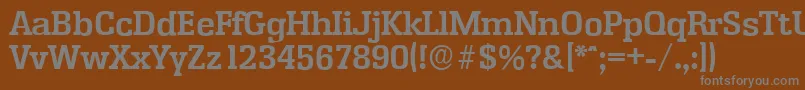 EnschedeserialBold Font – Gray Fonts on Brown Background