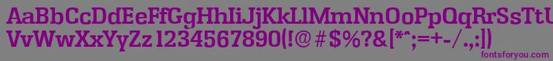 EnschedeserialBold-Schriftart – Violette Schriften auf grauem Hintergrund