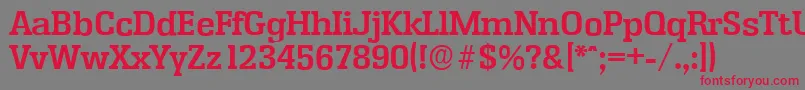EnschedeserialBold Font – Red Fonts on Gray Background