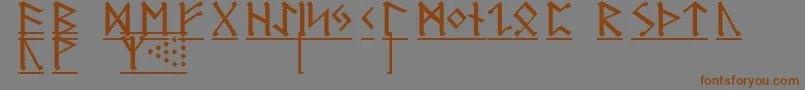 GermanicRunes1 Font – Brown Fonts on Gray Background