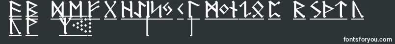 GermanicRunes1 Font – White Fonts on Black Background