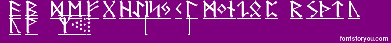 GermanicRunes1 Font – White Fonts on Purple Background