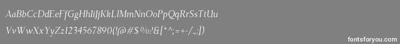 フォントTehutiItalic – 灰色の背景に白い文字
