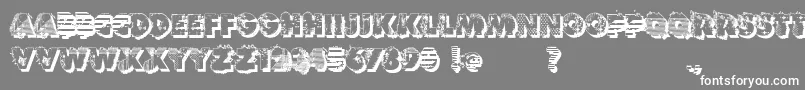 フォントVtksReversoOptionB – 灰色の背景に白い文字