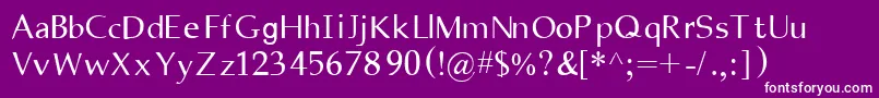 Tamilfix Font – White Fonts on Purple Background