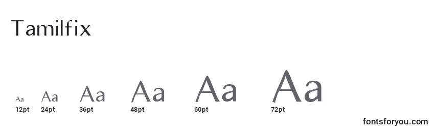 Размеры шрифта Tamilfix