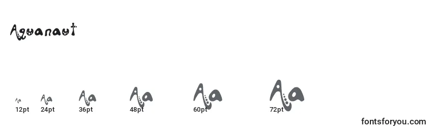 Aquanaut Font Sizes