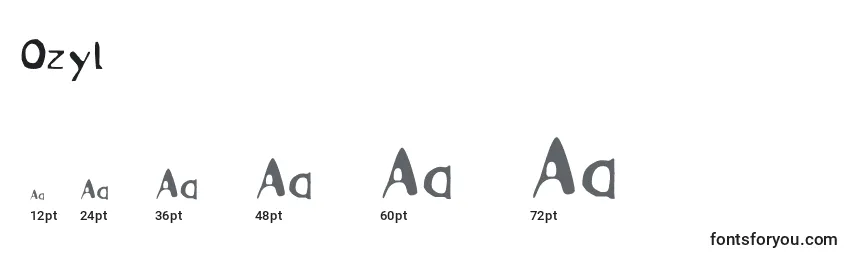 Размеры шрифта Ozyl