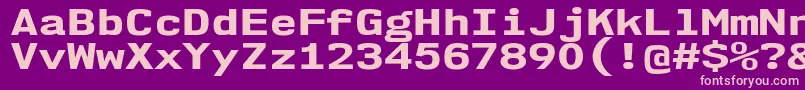 Nk57MonospaceExEb Font – Pink Fonts on Purple Background