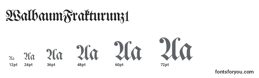Размеры шрифта WalbaumFrakturunz1