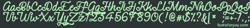 RequitedScriptDemo Font – Green Fonts on Black Background