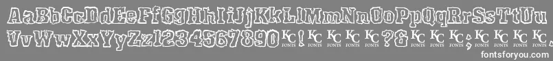 Rockyshoredemo Font – White Fonts on Gray Background