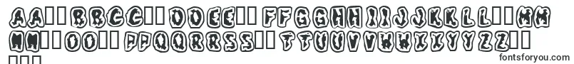 Grunt Font – Polish Fonts