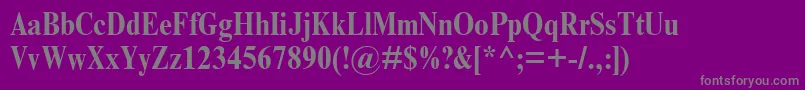 TimesNrCondensedBold Font – Gray Fonts on Purple Background