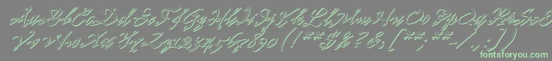 Pr8ShadowCat Font – Green Fonts on Gray Background