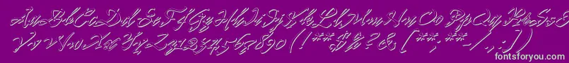 Pr8ShadowCat-Schriftart – Grüne Schriften auf violettem Hintergrund