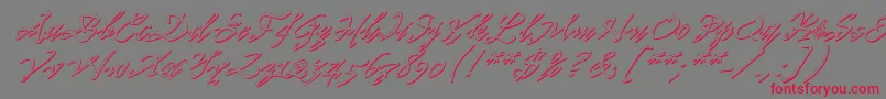 フォントPr8ShadowCat – 赤い文字の灰色の背景