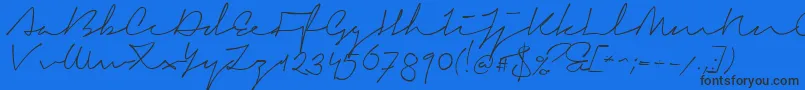 SignericaMedium-Schriftart – Schwarze Schriften auf blauem Hintergrund