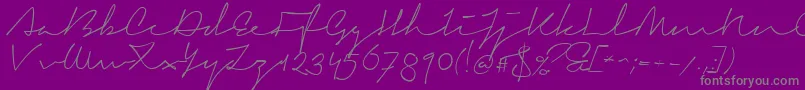 SignericaMedium Font – Gray Fonts on Purple Background