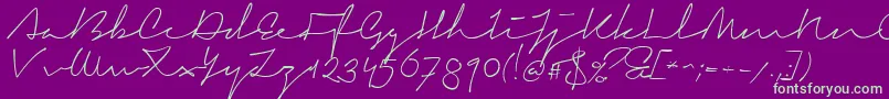 SignericaMedium Font – Green Fonts on Purple Background